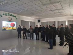 自治區(qū)副主席歐陽曉暉一行至公司調(diào)研